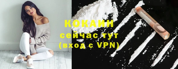 мяу мяу мука Аркадак
