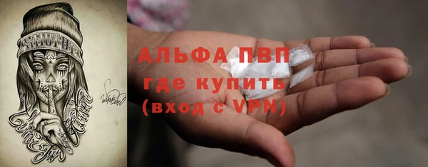 мяу мяу мука Аркадак