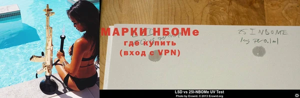 мяу мяу мука Аркадак