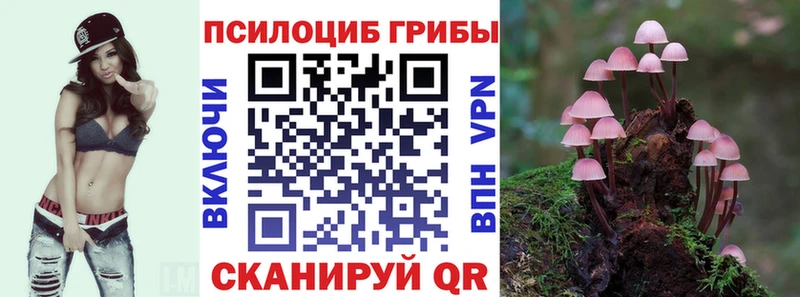 Псилоцибиновые грибы Psilocybine cubensis  Светлоград 